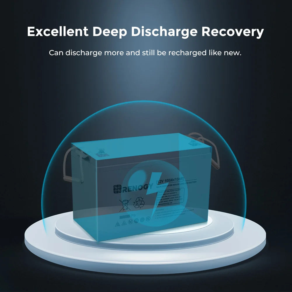 Renogy 12 Volt 100Ah Deep Cycle AGM Battery, 3% Self-Discharge Rate, 1100A Max
